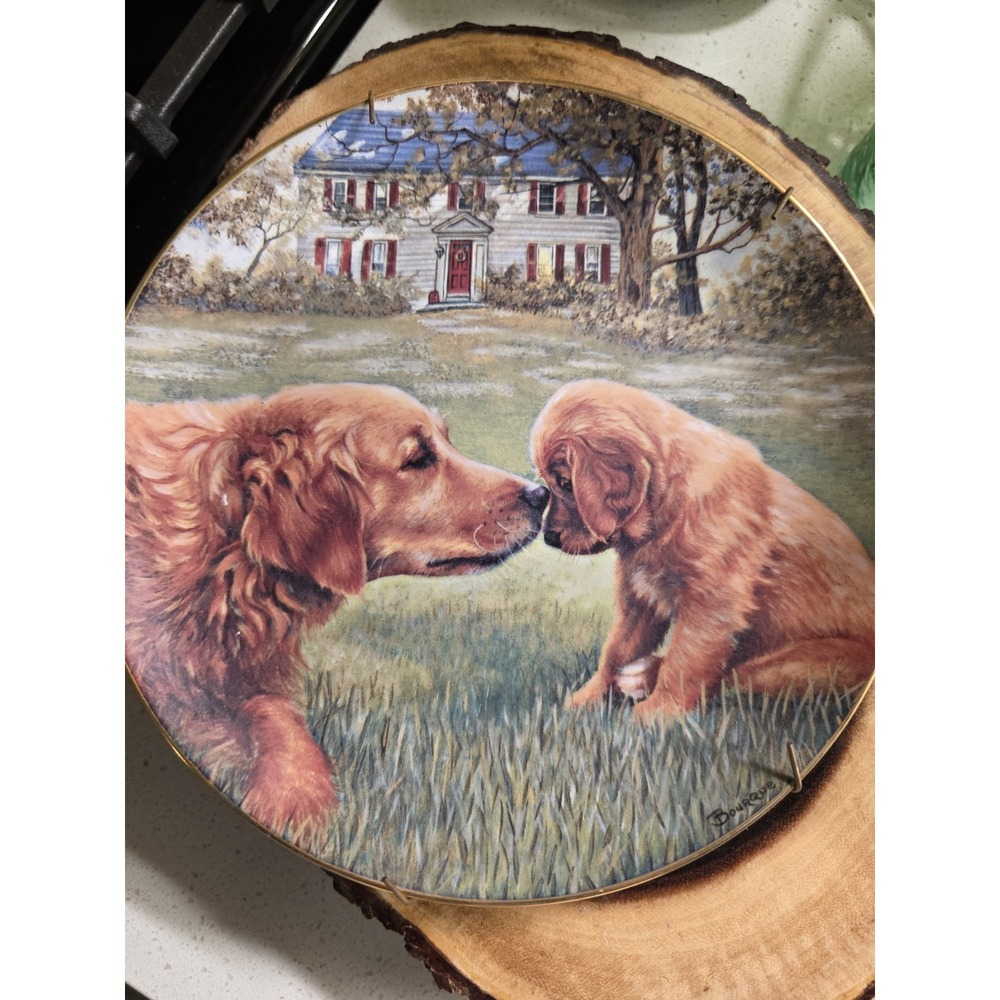 Danbury Mint Golden Moment Patricia Bourque Retriever Collector Plate mommy & me